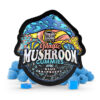 TreHouse Magic Mushroom Gummies