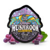 TreHouse Magic Mushroom Gummies